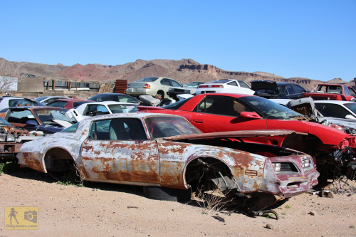 2023-BigCircleII-0190fhd