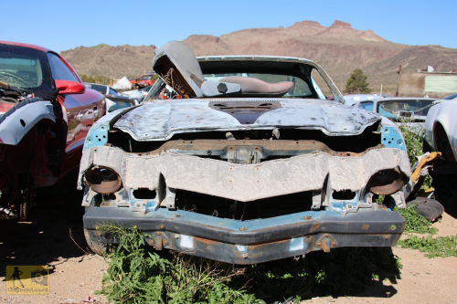 2023-BigCircleII-0191fhd