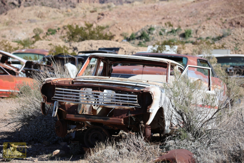 2023-BigCircleII-0238fhd