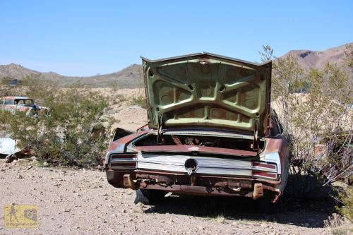 2023-BigCircleII-0242fhd