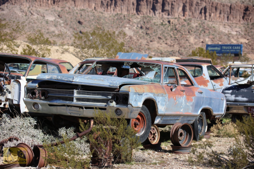 2023-BigCircleII-0244fhd