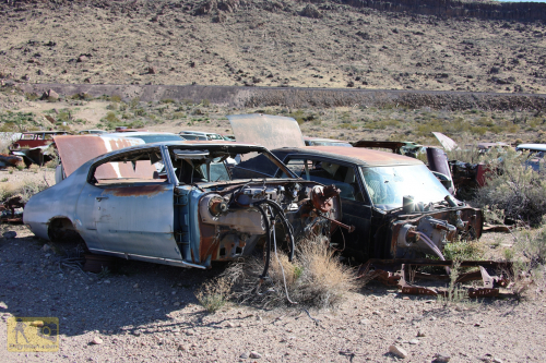 2023-BigCircleII-0246fhd