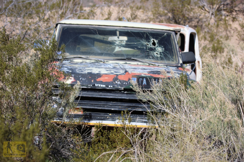 2023-BigCircleII-0249fhd