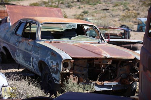 2023-BigCircleII-0261fhd