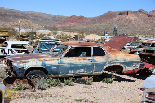 2023-BigCircleII-0266fhd