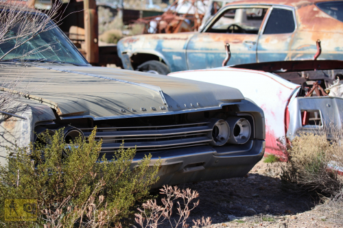 2023-BigCircleII-0268fhd