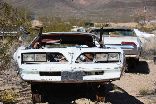 2023-BigCircleII-0269fhd