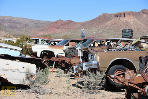 2023-BigCircleII-0272fhd