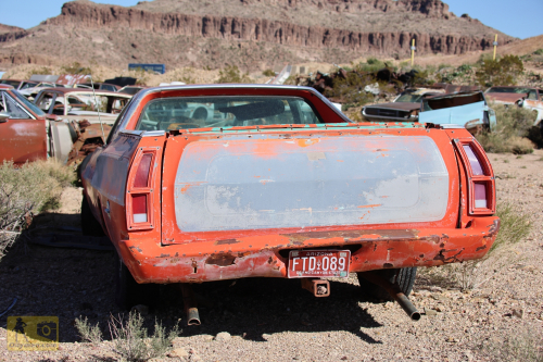 2023-BigCircleII-0276fhd