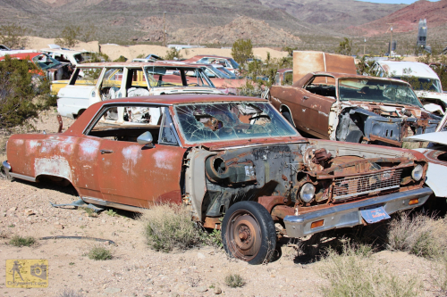 2023-BigCircleII-0278fhd