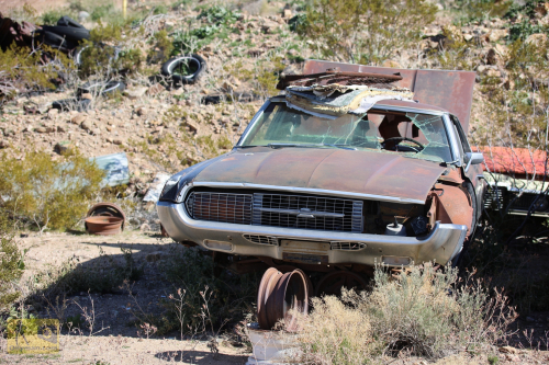 2023-BigCircleII-0280fhd