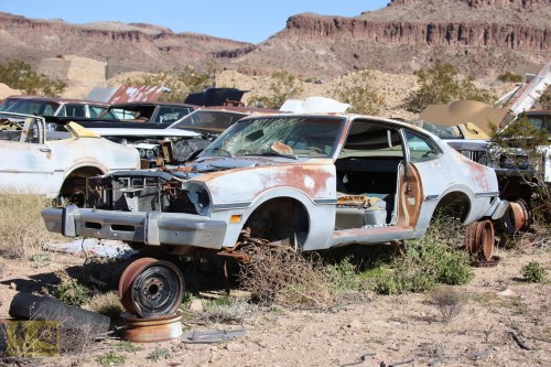 2023-BigCircleII-0281fhd