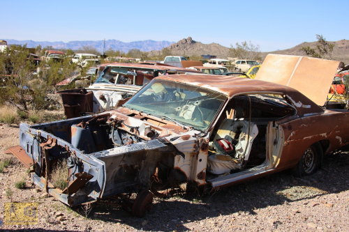 2023-BigCircleII-0282fhd