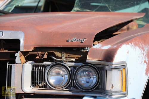 2023-BigCircleII-0285fhd