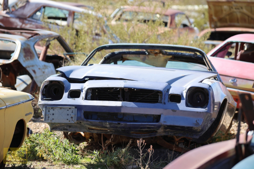 2023-BigCircleII-0286fhd