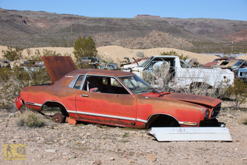 2023-BigCircleII-0287fhd