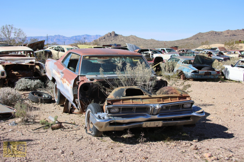 2023-BigCircleII-0288fhd