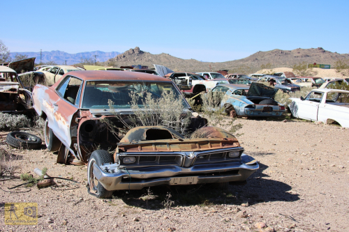 2023-BigCircleII-0289fhd