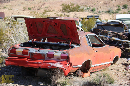 2023-BigCircleII-0291fhd