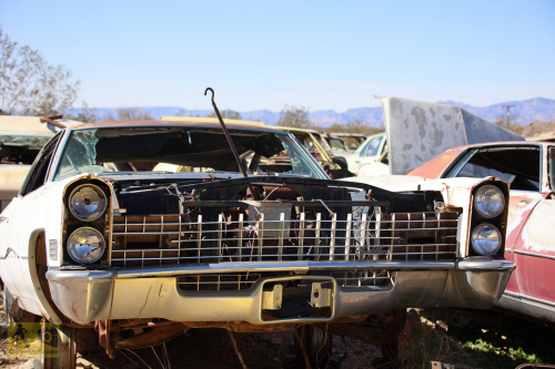 2023-BigCircleII-0292fhd