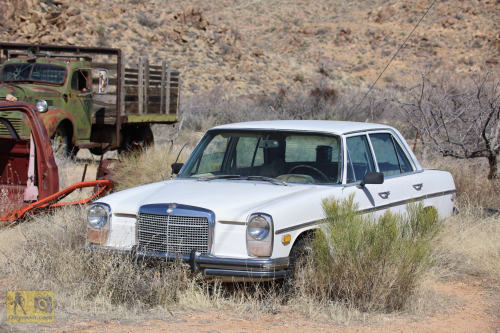 2023-BigCircleII-0318fhd