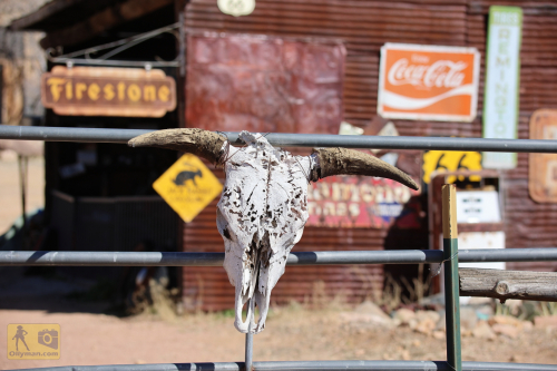 2023-BigCircleII-0328fhd