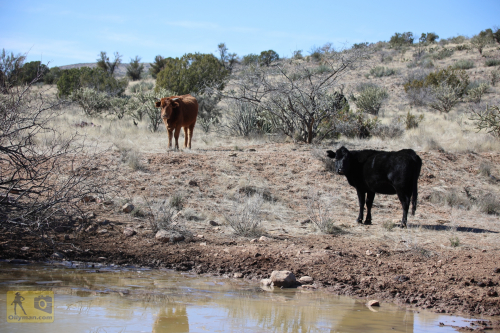 2023-BigCircleII-0333fhd