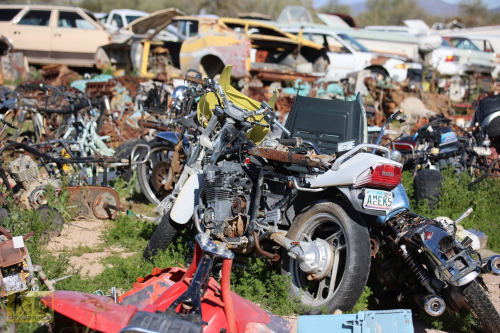 2023-BigCircleII-0338fhd