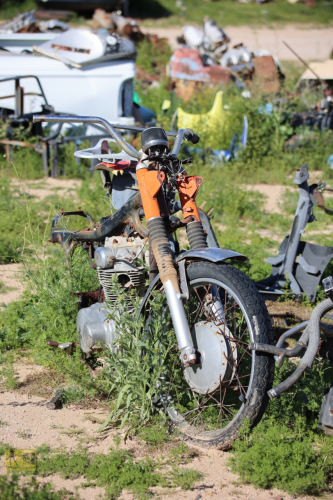 2023-BigCircleII-0339fhd