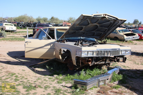 2023-BigCircleII-0348fhd