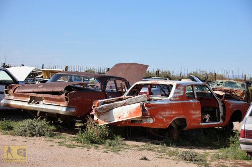 2023-BigCircleII-0349fhd