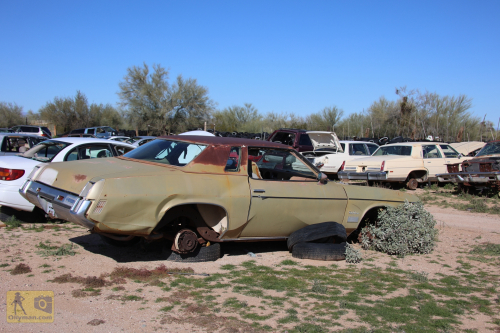 2023-BigCircleII-0352fhd