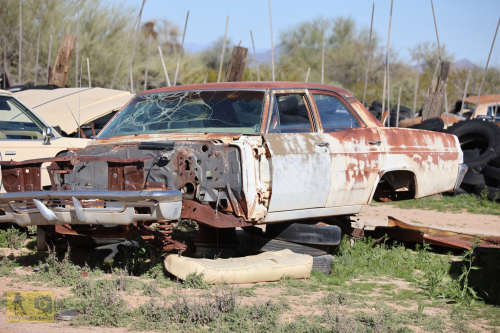 2023-BigCircleII-0353fhd