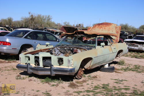 2023-BigCircleII-0356fhd