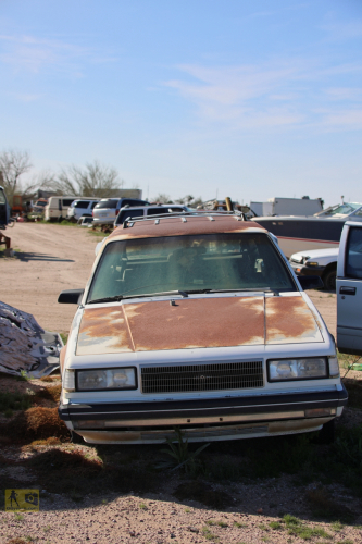 2023-BigCircleII-0358fhd