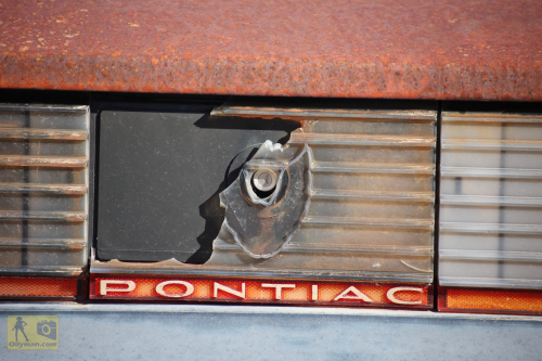 2023-BigCircleII-0361fhd