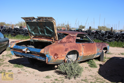 2023-BigCircleII-0364fhd