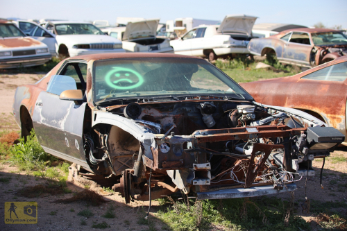 2023-BigCircleII-0366fhd