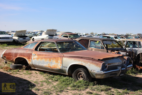 2023-BigCircleII-0367fhd