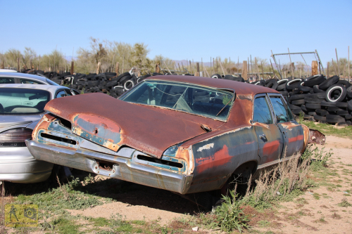 2023-BigCircleII-0368fhd