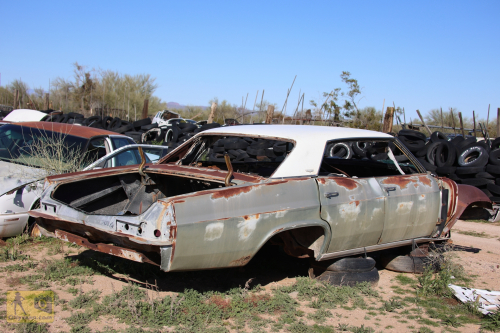 2023-BigCircleII-0370fhd