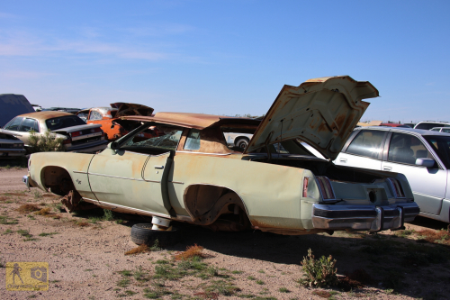 2023-BigCircleII-0371fhd