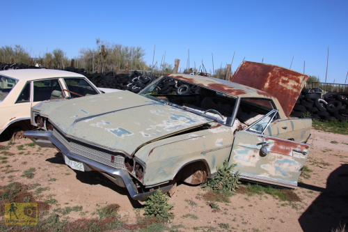 2023-BigCircleII-0374fhd