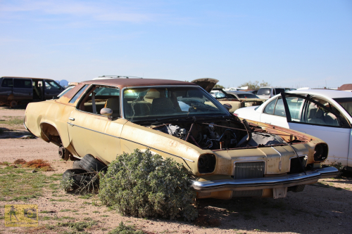 2023-BigCircleII-0375fhd