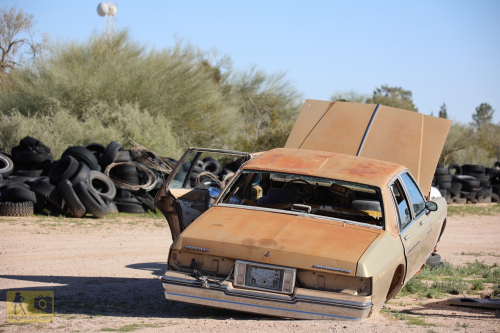 2023-BigCircleII-0379fhd