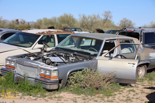 2023-BigCircleII-0382fhd