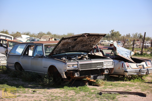 2023-BigCircleII-0383fhd