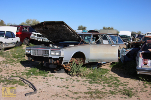 2023-BigCircleII-0384fhd