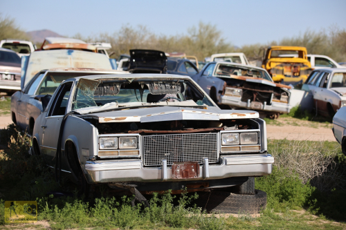 2023-BigCircleII-0386fhd