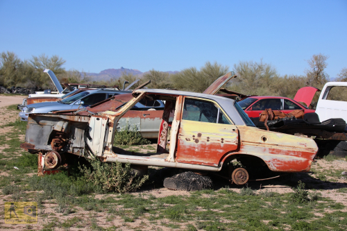 2023-BigCircleII-0388fhd